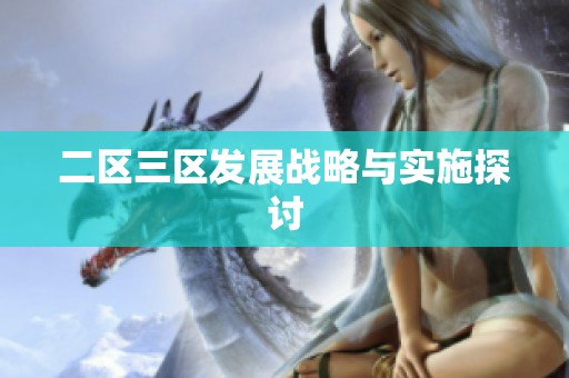 二区三区发展战略与实施探讨