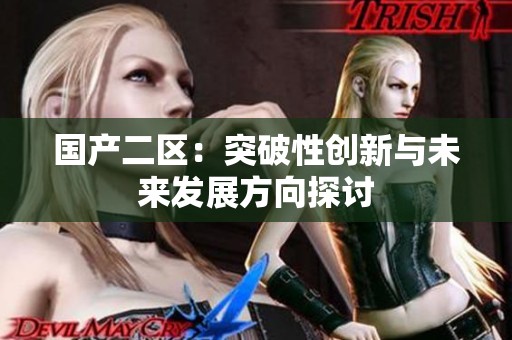 国产二区：突破性创新与未来发展方向探讨