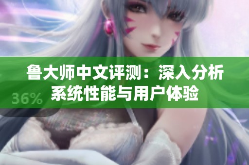 鲁大师中文评测：深入分析系统性能与用户体验