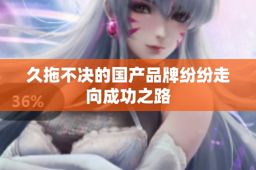 久拖不决的国产品牌纷纷走向成功之路