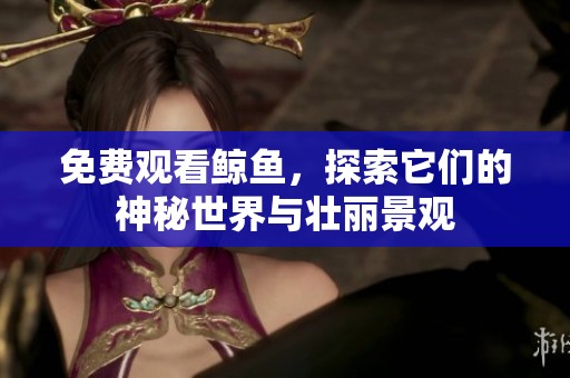 免费观看鲸鱼，探索它们的神秘世界与壮丽景观