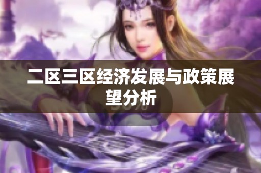 二区三区经济发展与政策展望分析