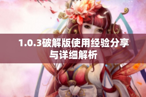 1.0.3破解版使用经验分享与详细解析