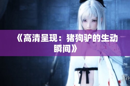《高清呈现：猪狗驴的生动瞬间》
