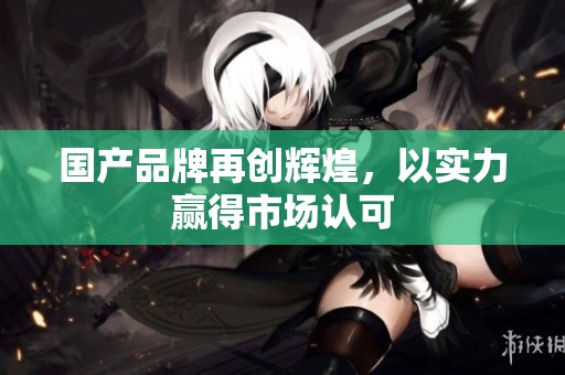 国产品牌再创辉煌，以实力赢得市场认可