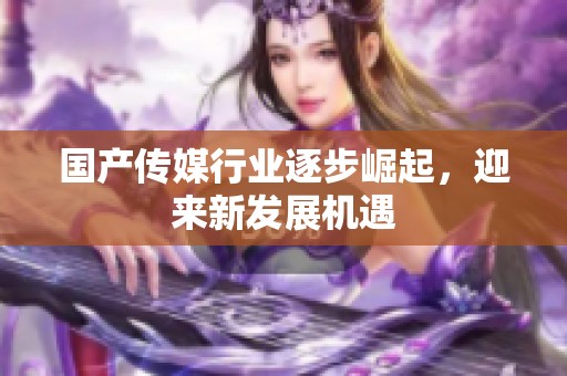 国产传媒行业逐步崛起，迎来新发展机遇