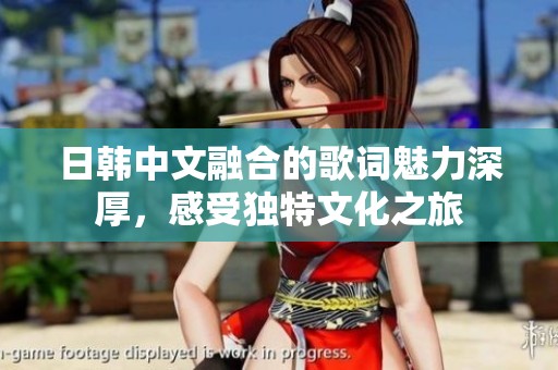 日韩中文融合的歌词魅力深厚，感受独特文化之旅