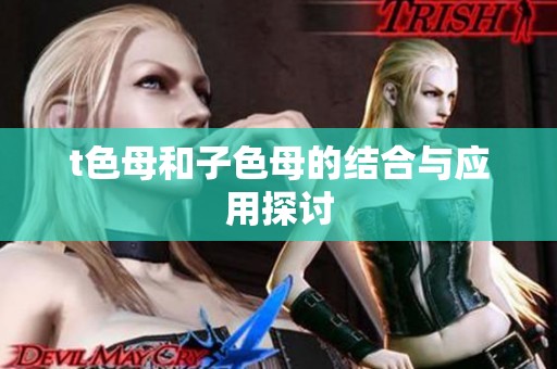 t色母和子色母的结合与应用探讨