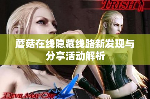 蘑菇在线隐藏线路新发现与分享活动解析