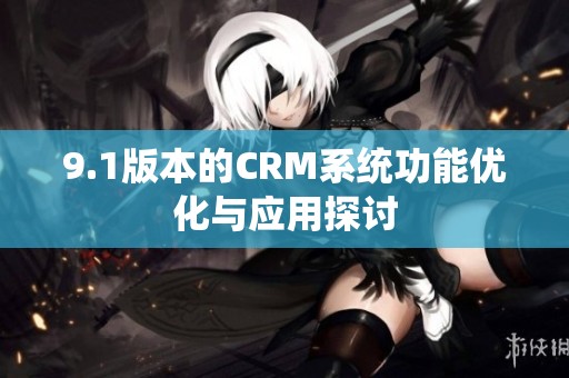 9.1版本的CRM系统功能优化与应用探讨