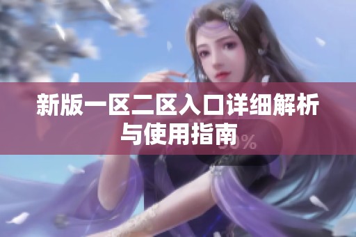 新版一区二区入口详细解析与使用指南
