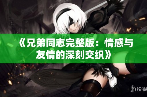 《兄弟同志完整版：情感与友情的深刻交织》