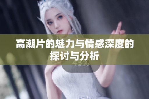 高潮片的魅力与情感深度的探讨与分析