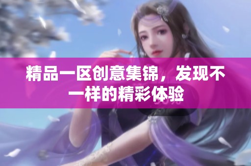 精品一区创意集锦，发现不一样的精彩体验