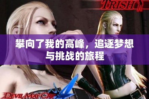 攀向了我的高峰，追逐梦想与挑战的旅程
