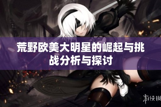 荒野欧美大明星的崛起与挑战分析与探讨