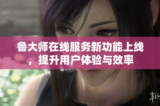 鲁大师在线服务新功能上线，提升用户体验与效率