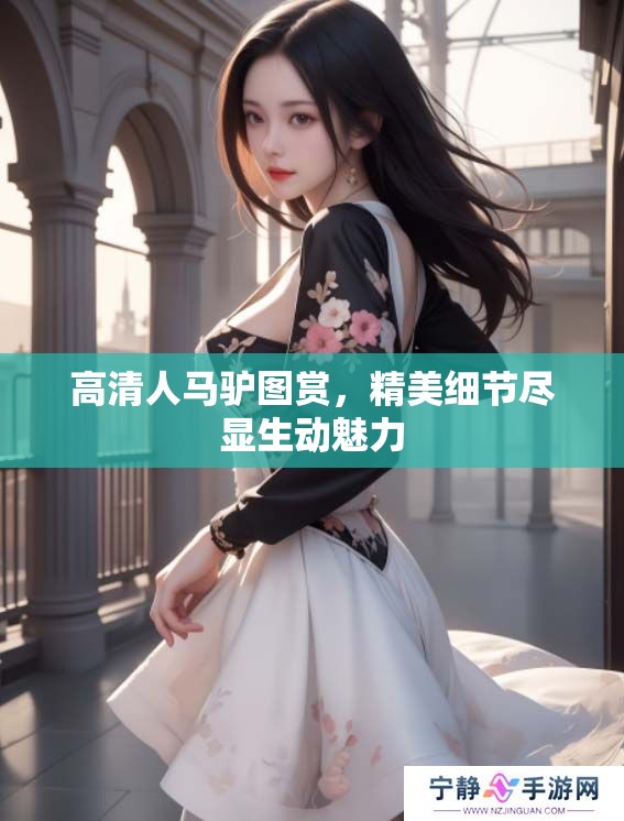 高清人马驴图赏，精美细节尽显生动魅力