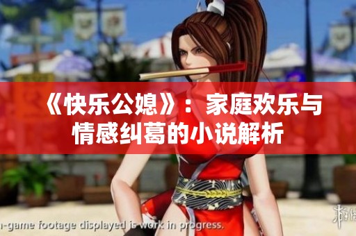 《快乐公媳》：家庭欢乐与情感纠葛的小说解析