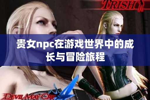 贵女npc在游戏世界中的成长与冒险旅程