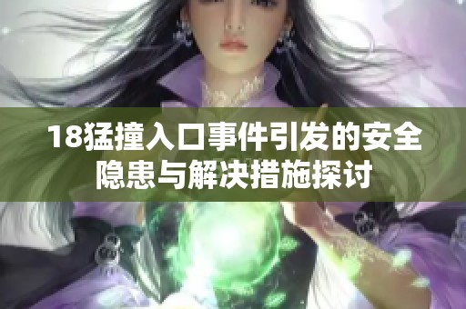 18猛撞入口事件引发的安全隐患与解决措施探讨
