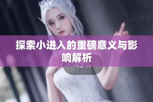 探索小进入的重磅意义与影响解析