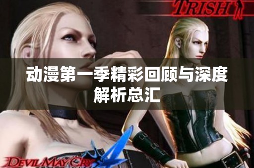 动漫第一季精彩回顾与深度解析总汇