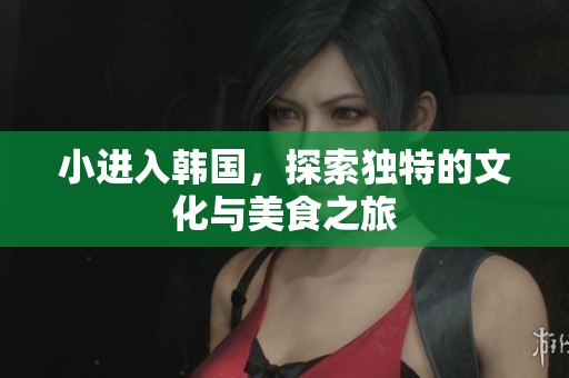 小进入韩国，探索独特的文化与美食之旅