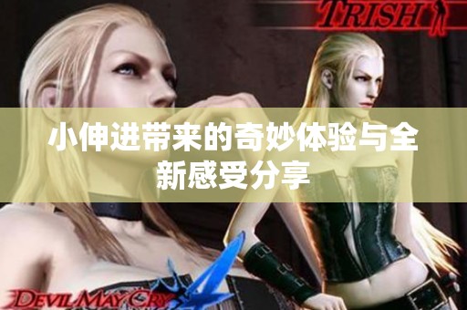 小伸进带来的奇妙体验与全新感受分享
