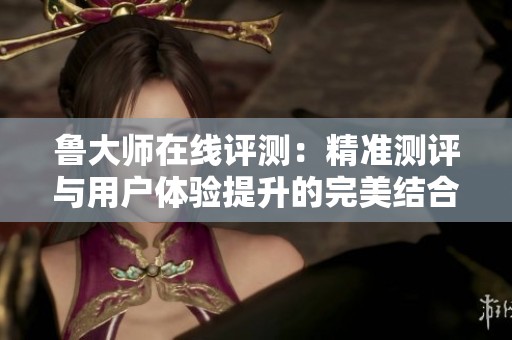 鲁大师在线评测：精准测评与用户体验提升的完美结合