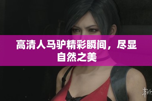 高清人马驴精彩瞬间，尽显自然之美