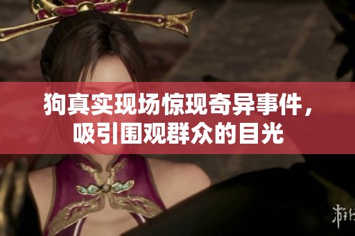 狗真实现场惊现奇异事件，吸引围观群众的目光
