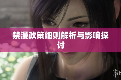 禁漫政策细则解析与影响探讨
