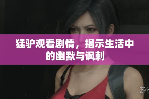 猛驴观看剧情，揭示生活中的幽默与讽刺