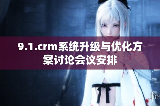 9.1.crm系统升级与优化方案讨论会议安排