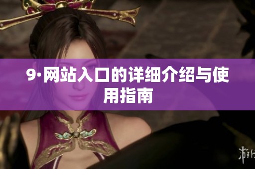 9·网站入口的详细介绍与使用指南