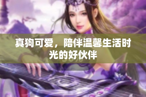 真狗可爱，陪伴温馨生活时光的好伙伴