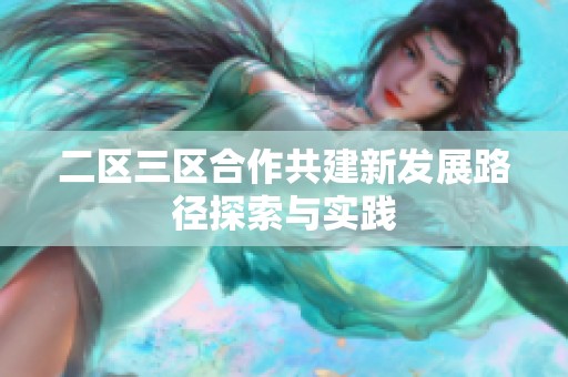 二区三区合作共建新发展路径探索与实践