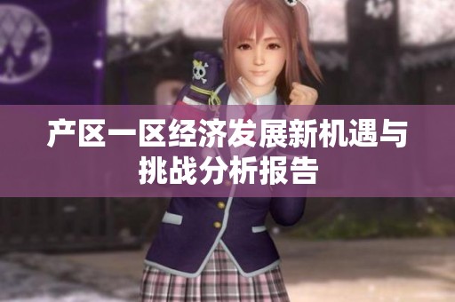 产区一区经济发展新机遇与挑战分析报告