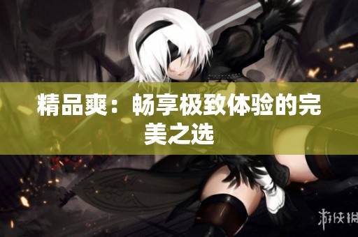 精品爽：畅享极致体验的完美之选