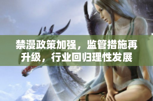 禁漫政策加强，监管措施再升级，行业回归理性发展