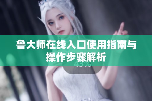 鲁大师在线入口使用指南与操作步骤解析