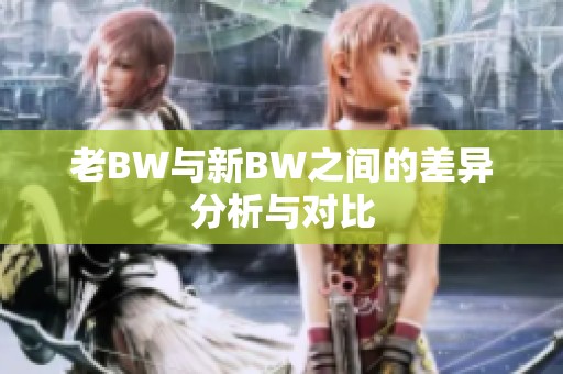 老BW与新BW之间的差异分析与对比