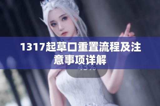 1317起草口重置流程及注意事项详解