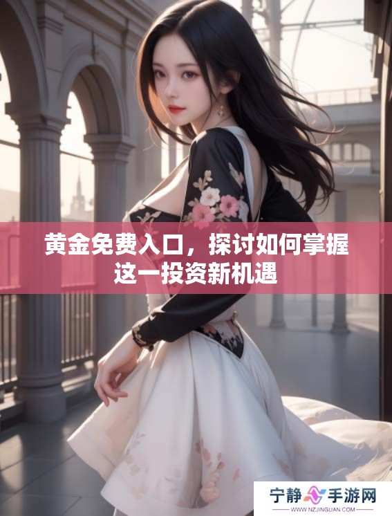 黄金免费入口，探讨如何掌握这一投资新机遇