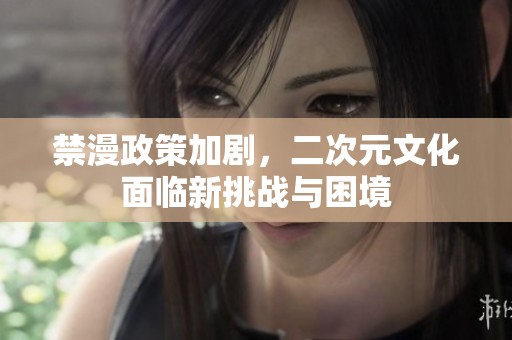 禁漫政策加剧，二次元文化面临新挑战与困境