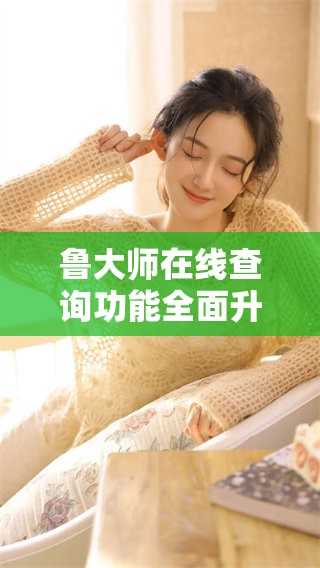 鲁大师在线查询功能全面升级，提升用户体验新选择