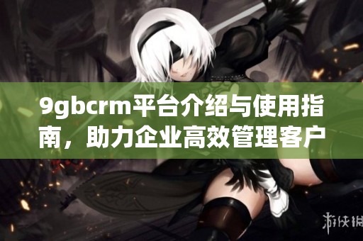 9gbcrm平台介绍与使用指南，助力企业高效管理客户关系