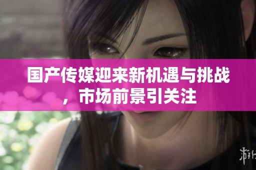 国产传媒迎来新机遇与挑战，市场前景引关注