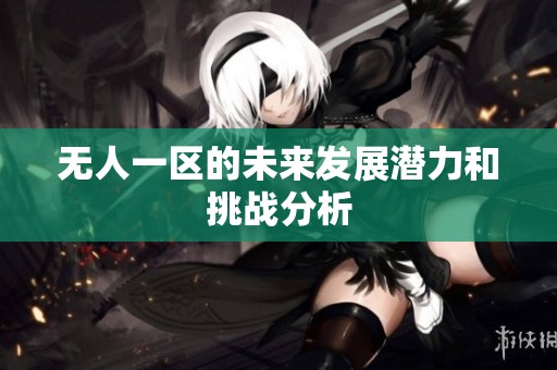 无人一区的未来发展潜力和挑战分析